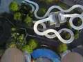 Riding at Drop Zone in Kings Dominion