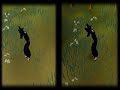 {rs} old runescape vs  new runescape graphics