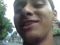 Caramujo voa ou não voa? Caramujo voa ou não voa?
