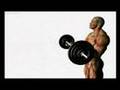 bicep-curl-anatomy