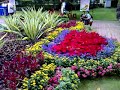 Pesta Flora Pulau Pinang #1