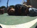 17 Stair/ Dasani Commercial