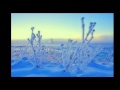 Here's a quick movie I made in iMovie using some of my favorite still images from Bosque del Apache. For more of my work, see: www.ricksammon.info
