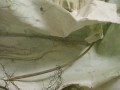Produced within the layers of viewing’s making