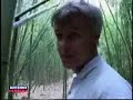 bambeserai sur l'ile de la reunion
