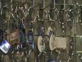 English Horse Bits: Myler, Stubben, Toklat, KK, HS Herm Sprenger, German Equestrian