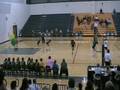 Brittany Dye Setter #4
