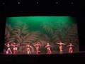 Jungle Rhythm