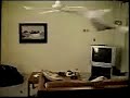 Cat and the Ceiling Fan Clip