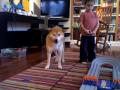 hanukahpresent.mov