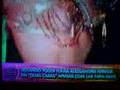 Fl via Alessandra no tv fama