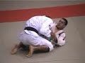 Margarida vs fabio gurgel