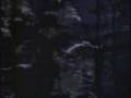 WNEV-SE7EN-New-Engla
