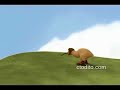 KIWI !!!
