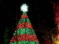 videos de Christmas Tree Lights Silver Dollar City Branson Mo.MOV
