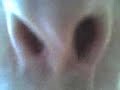 Nose Exercises