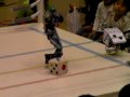 videos de The 2nd Wonderful Robot Carnival Petit, Dice Soccer, Gashyaperion Mk Ⅱ vs Saikoro Great