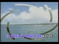 MP4 Karaoke BOrn For yOu by David Pomeranz