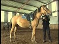 Ainsi naissent les r�ves