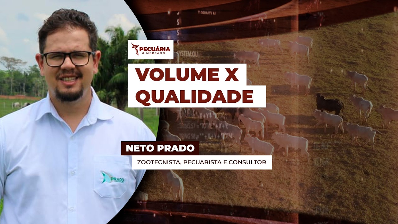 Pasto volumoso nem sempre é eficiente na conversão alimentar alerta especialista