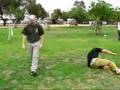 Systema Israel Levers in movement