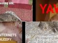 ***** Funny Cats 7 *****