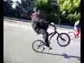 BMX wheelie \"The need for speed\" BMX wheelie \"The need for speed\"