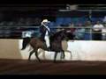 Carousel Horse Show Promo