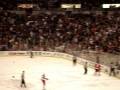 videos de Detroit Red Wings Andreas Lilja Fight