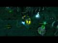 DXD 5v5 Trailer
