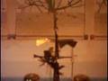 Angel Chimes