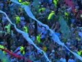 Gol de Diego Souza - Palmeiras x São Paulo 2008