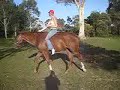 levi and i FREE RIDING