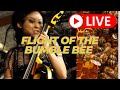 Flight of the Bumble Bee by Tina Guo, cello and Christine Utomo, piano at Rehearsal