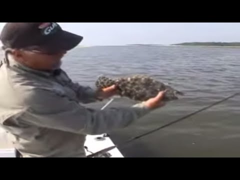Flounder and Rigging