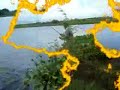 Toman Lombong kat Perak Toman Lombong kat Perak