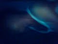 Thumbnail #1