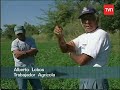 OVNI - Cosecha Biológica - Parte 2 OVNI - Cosecha Biológica - Parte 2