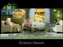 °°Sureh Meyrem, nga Muhamed Tarek °°