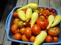 Garden Update Episode 8 Garden Update Episode 8