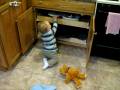 Max playing pots n pans