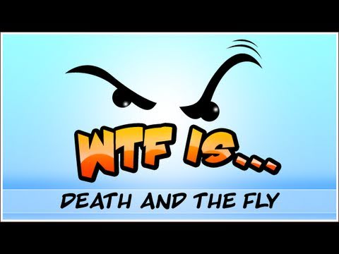 the fly