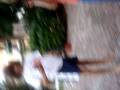 videos de MOV00604.MPG