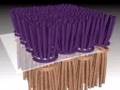 videos de LL Bean Demo