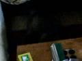 videos de Bailey pt 9 19122008