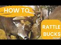 How to rattle up nice buck
