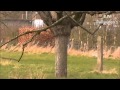 - www.rallyvanhaspengouw.be - www.rallyvanhaspengouw.be