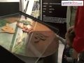 Slither exhibition at Dorman Museum, Middlesbrough.
