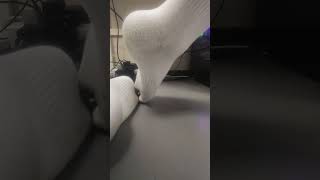 Giantess white dirty sock crush tiny