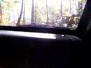 crawlin 2